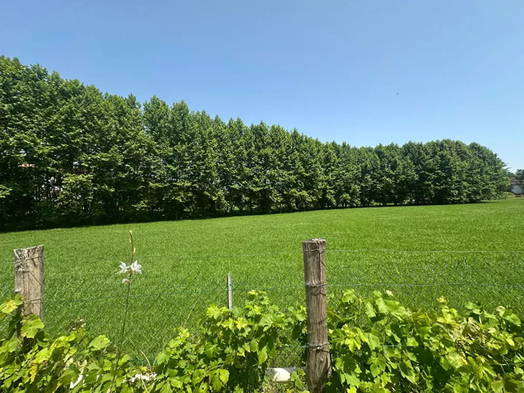 Photo du bien ref5366