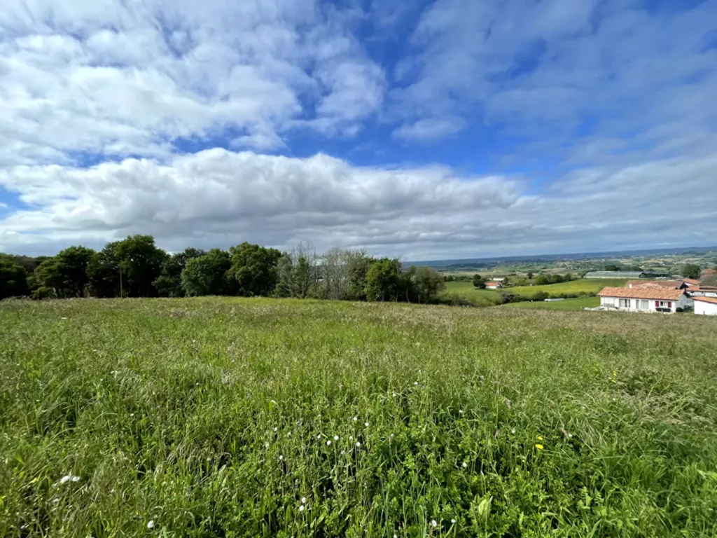 Photo du bien ref5341