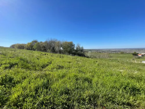 Photo 3 bien ref5340