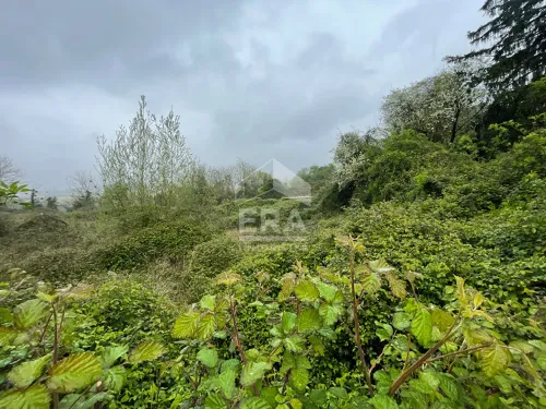 Photo 4 bien ref5478