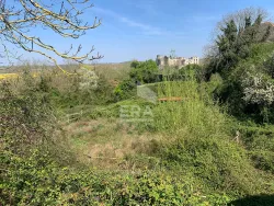 Photo annonce ref5478